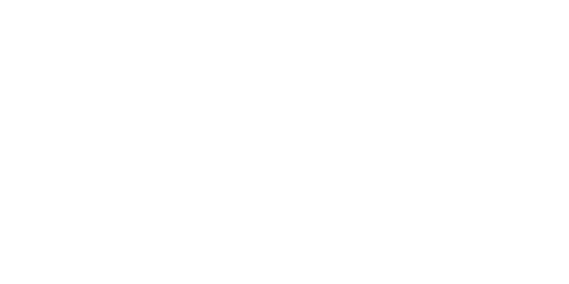 Stute logo