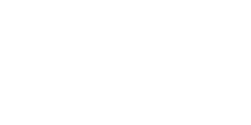 Loxxess logo